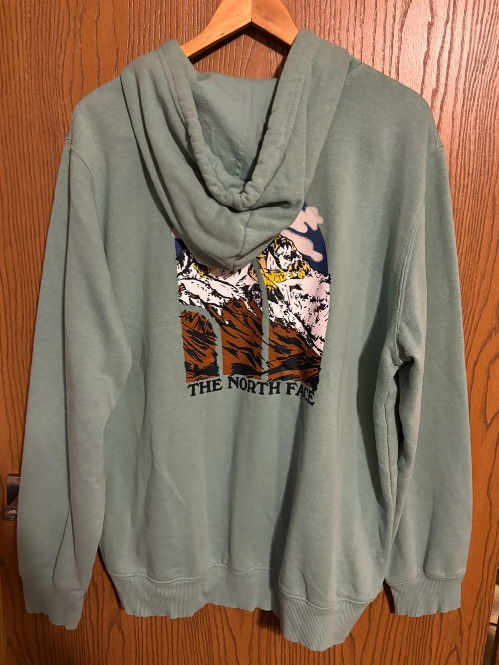 The North Face Men's Sage Green Hoodie